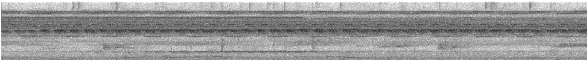 Thrush-like Antpitta - ML626787260