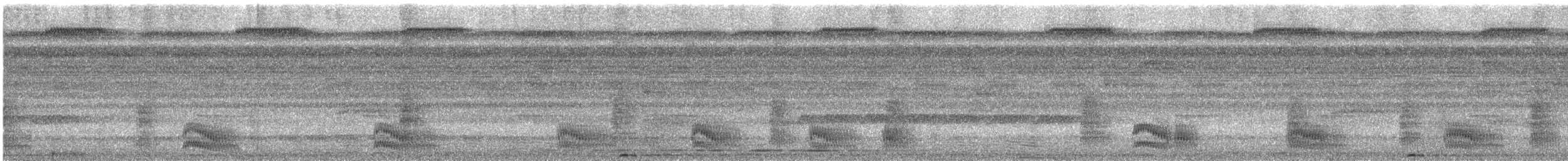 Mouse-colored Antshrike - ML626787266