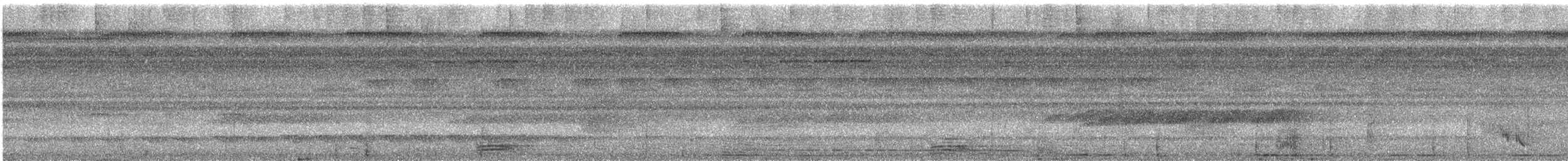 Broad-billed Motmot - ML626787275