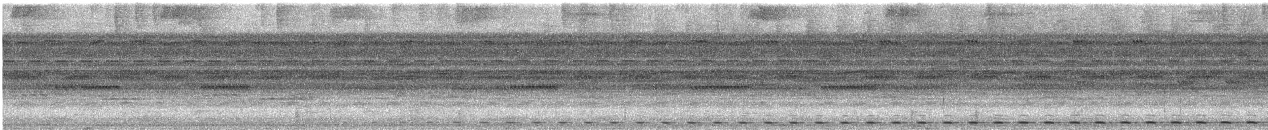 Tawny-bellied Screech-Owl - ML626787462