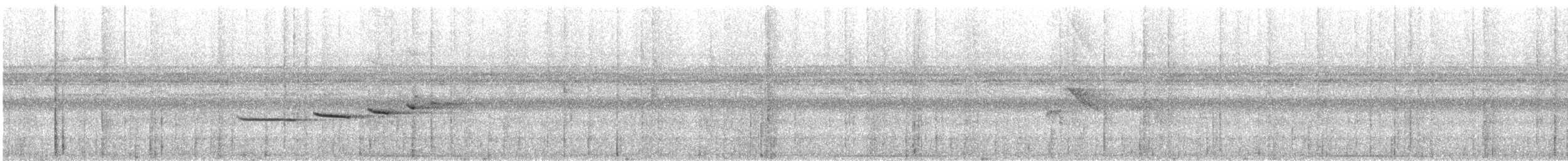 Zimmer's Antbird - ML626787570