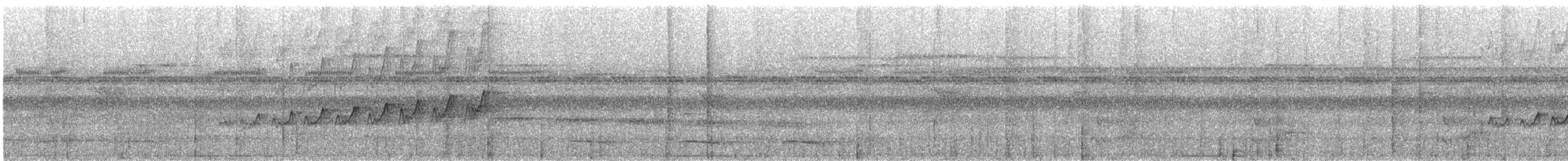 Wedge-billed Woodcreeper - ML626787596