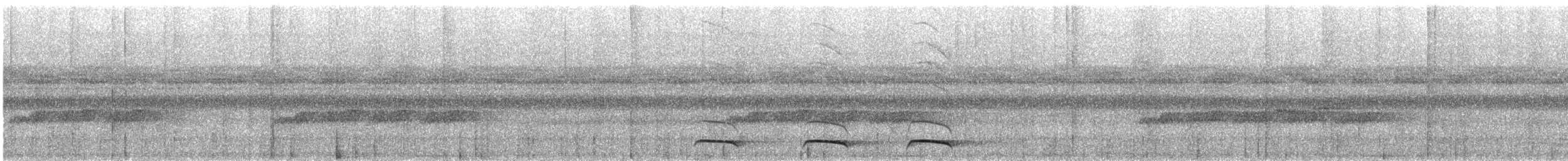 Amazonian Black-throated Trogon - ML626787610