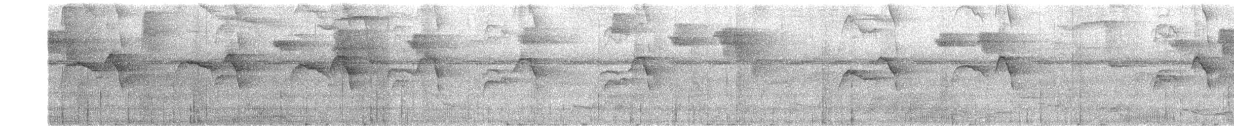 Harpage bidenté - ML626787615