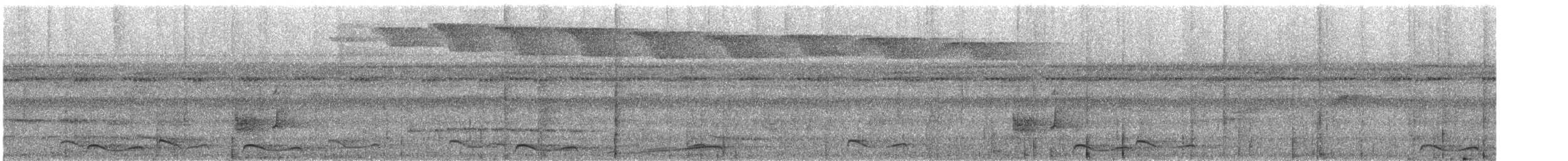 White-eyed Tody-Tyrant - ML626787637