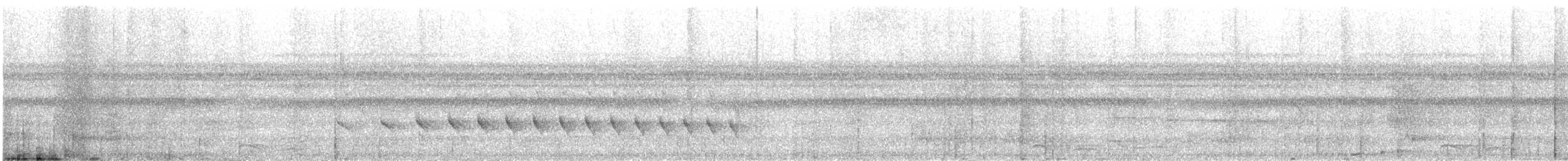 Moustached Antwren - ML626787729