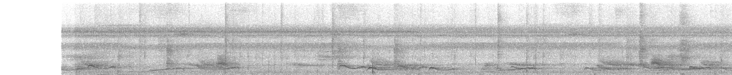 Peruvian Warbling-Antbird - ML626787744