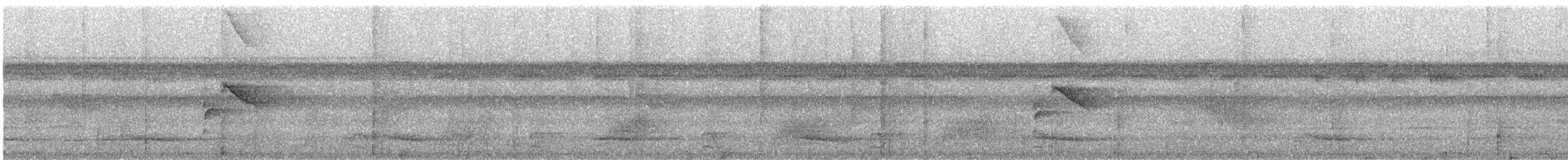 Striolated Manakin - ML626787768