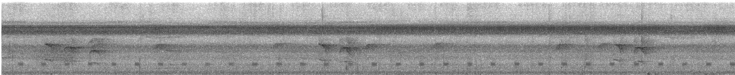 White-flanked Antwren - ML626787776