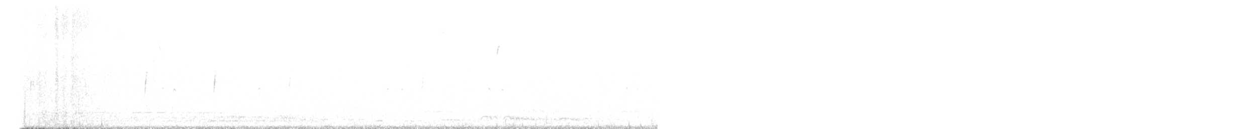 Gray Flycatcher - ML626797301