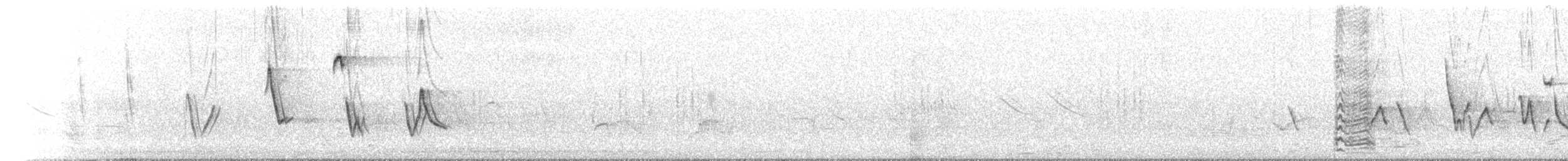 Diuca Finch - ML626814165