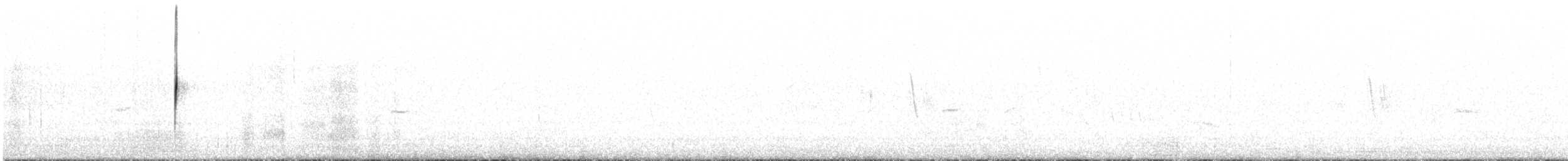 Cream-winged Cinclodes - ML626823911