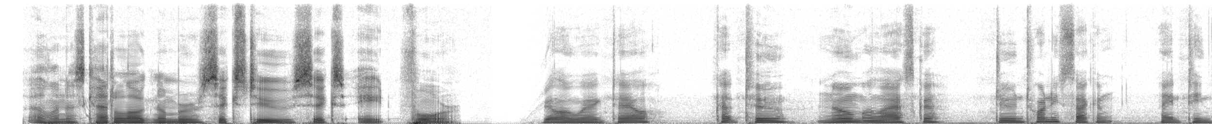 Bergeronnette de Béringie (tschutschensis/plexa) - ML62684