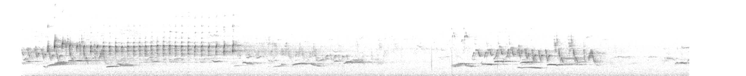 australdvergdykker - ML626840394