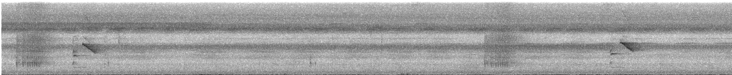 Striolated Manakin - ML626840758