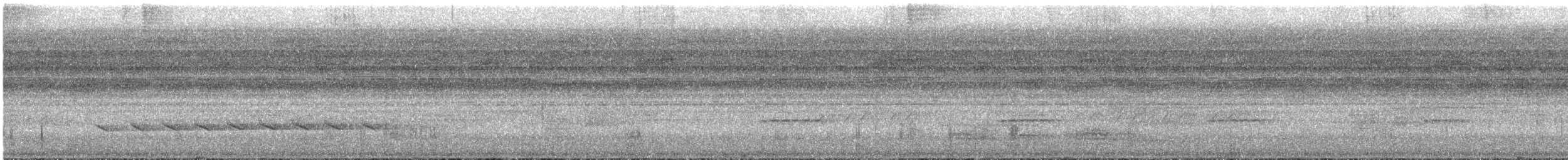 Lawrence's Thrush - ML626841062