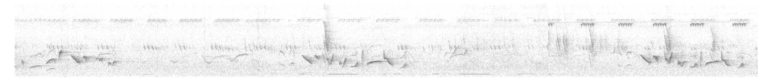 Arabian Warbler - ML626843141