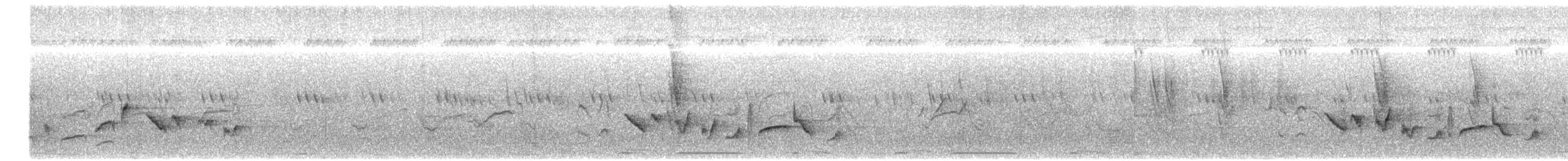Arabian Warbler - ML626843544