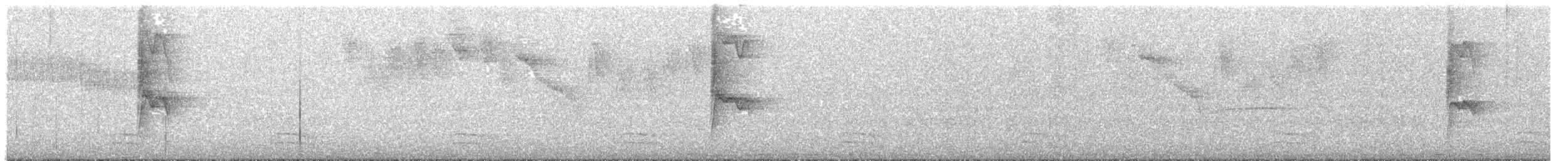 Restinga Tyrannulet - ML626844953