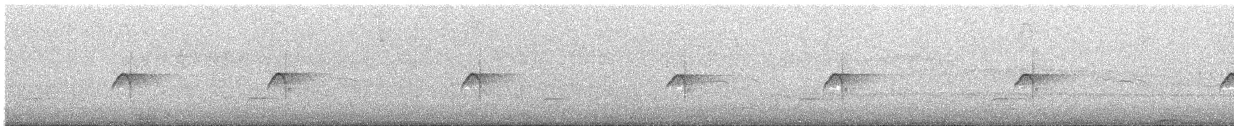 Rough-legged Tyrannulet - ML626847741