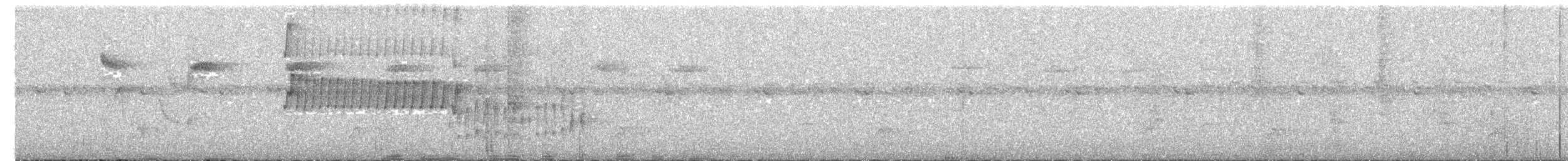 Southern Bristle-Tyrant - ML626849299