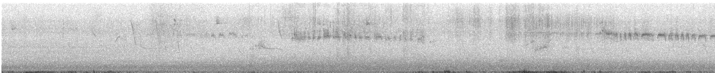 Andean Swift - ML626853059
