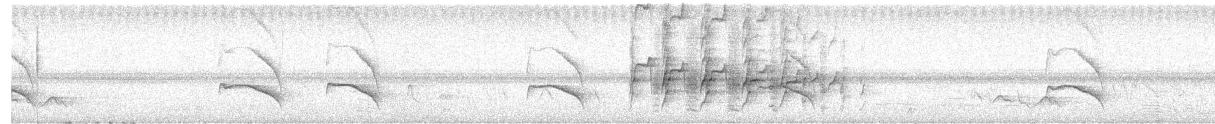 Stripe-backed Antbird - ML626856761