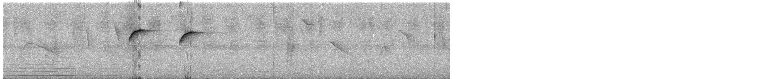 Golden-spangled Piculet - ML626857257