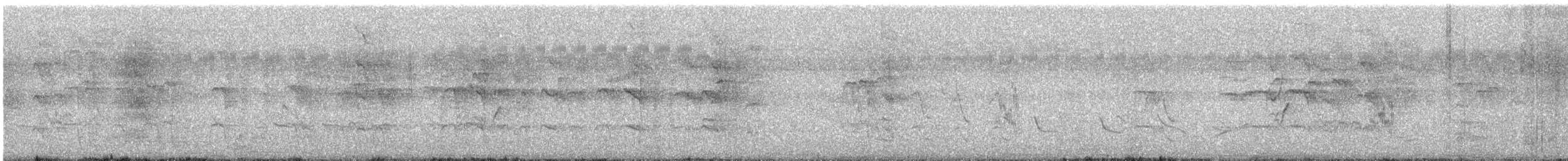 Jungle Babbler - ML626858133