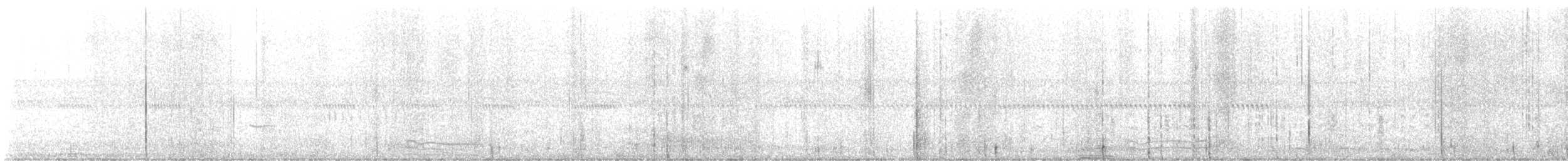 White Ibis - ML626860693
