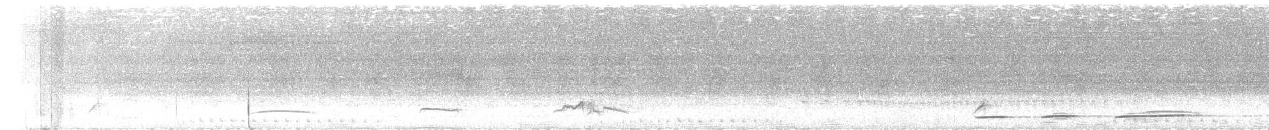 Swainson's Flycatcher - ML626860779