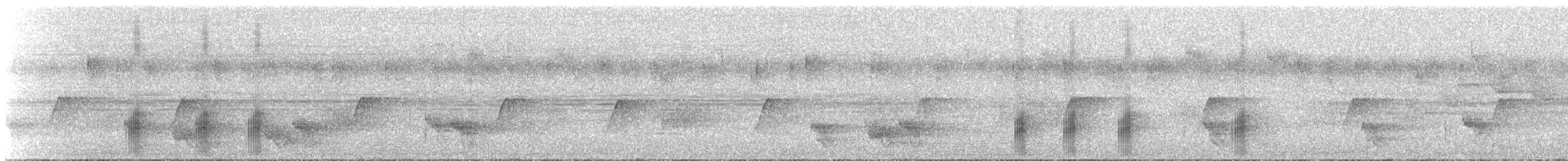 Black-tailed Tityra - ML626861063