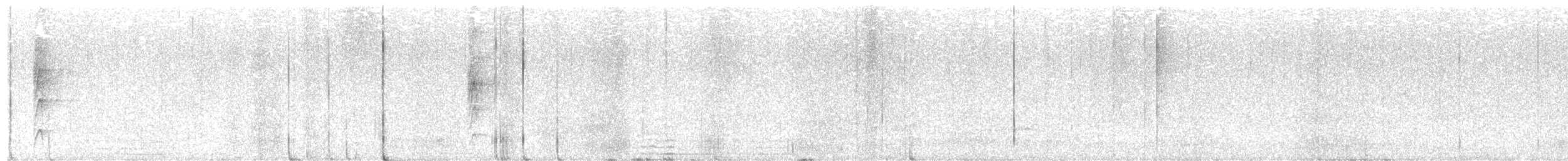 White-throated Spadebill - ML626861184