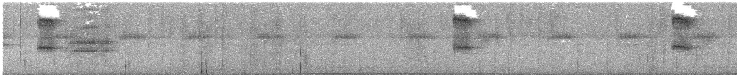Short-tailed Pygmy-Tyrant - ML626861364