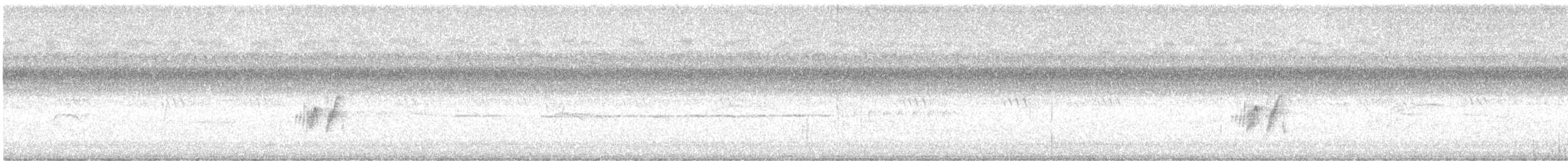 חטפית האלמון - ML626862216