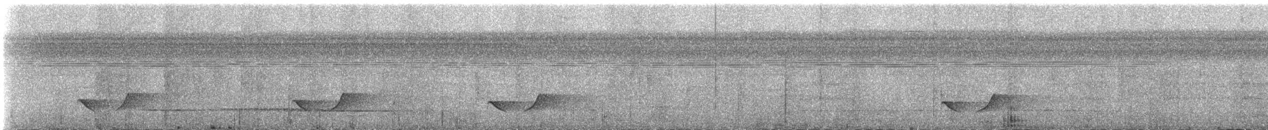 Varzea Schiffornis - ML626864943