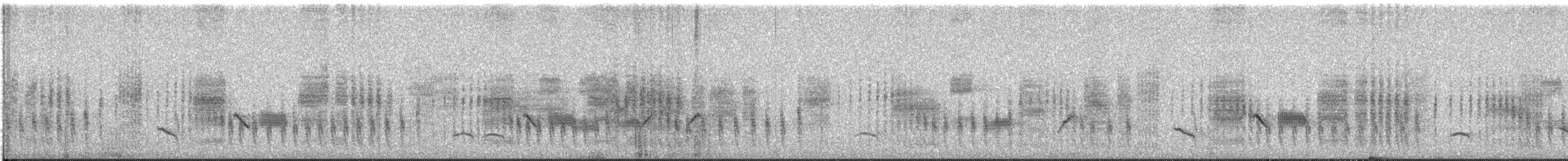 Apolinar's Wren - ML626870883
