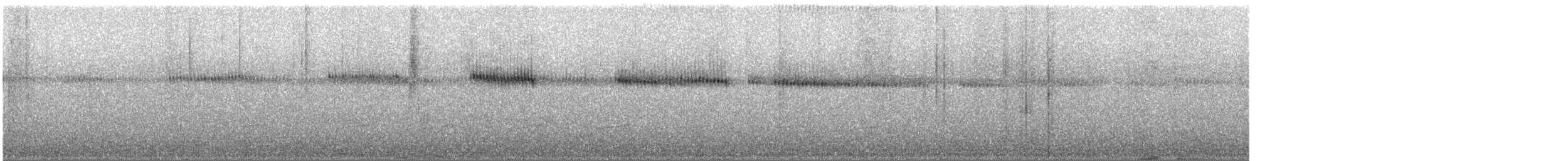 Broad-tailed Hummingbird - ML626872378