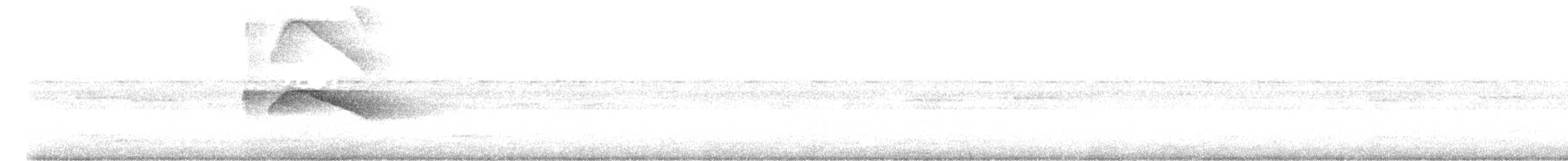 White-tailed Nightjar - ML626873213