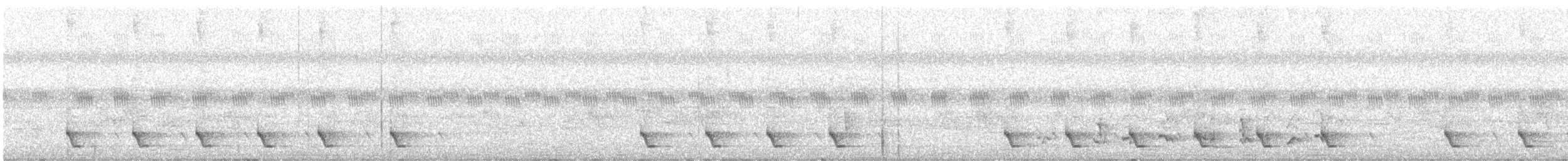 bredstripemeisetimal (bornensis gr.) - ML626873725