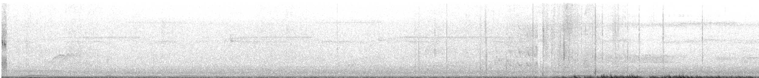 Ptilope à diadème - ML626887579