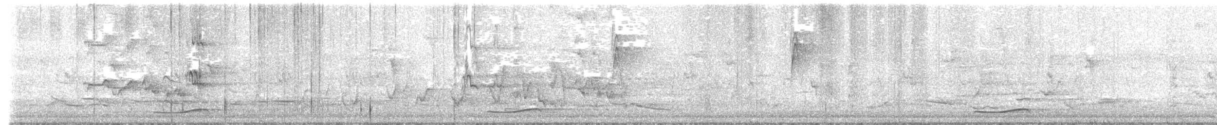 Pacific Koel - ML626888112