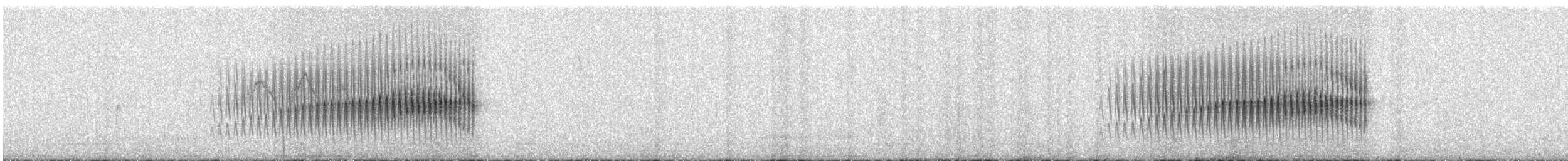Streak-backed Canastero - ML626888828