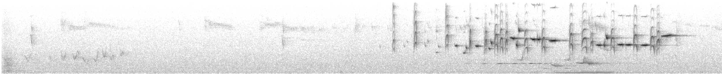 Gray Fantail - ML626896582