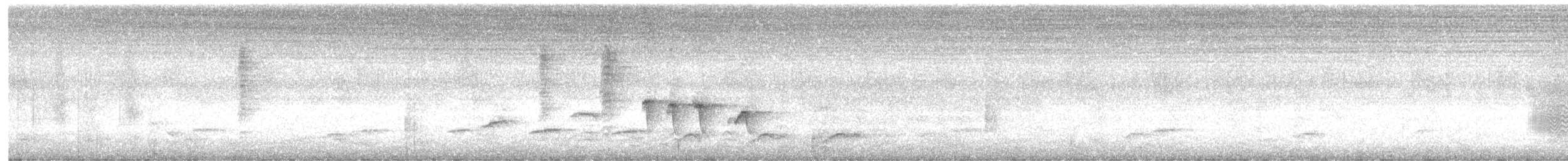 Souimanga murin - ML626900371