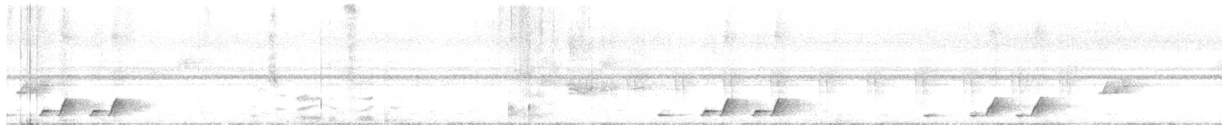 Four-colored Bushshrike - ML626900530