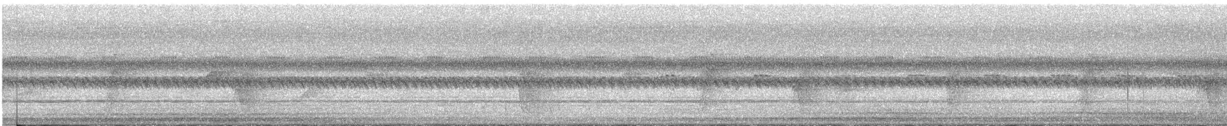ズグロイカル - ML626903714