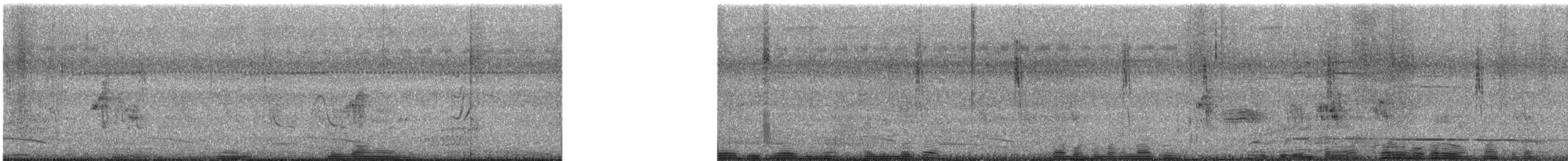 Paddyfield Pipit - ML626907192