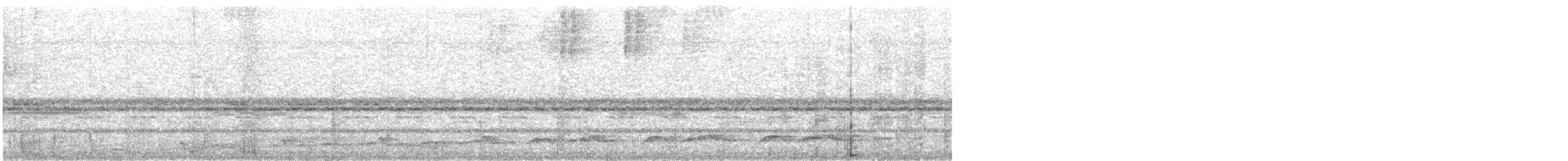 Lyre-tailed Nightjar - ML626914117