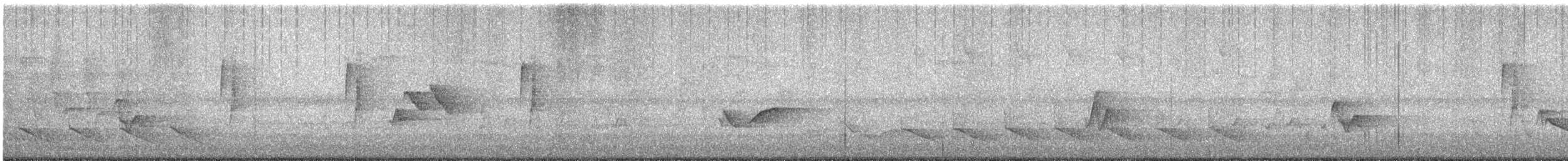Least Flycatcher - ML626914263